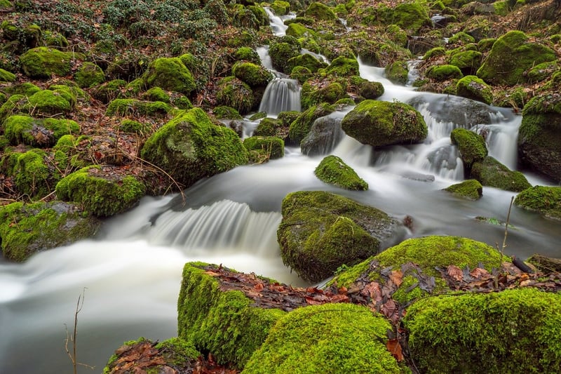Flowing Movements